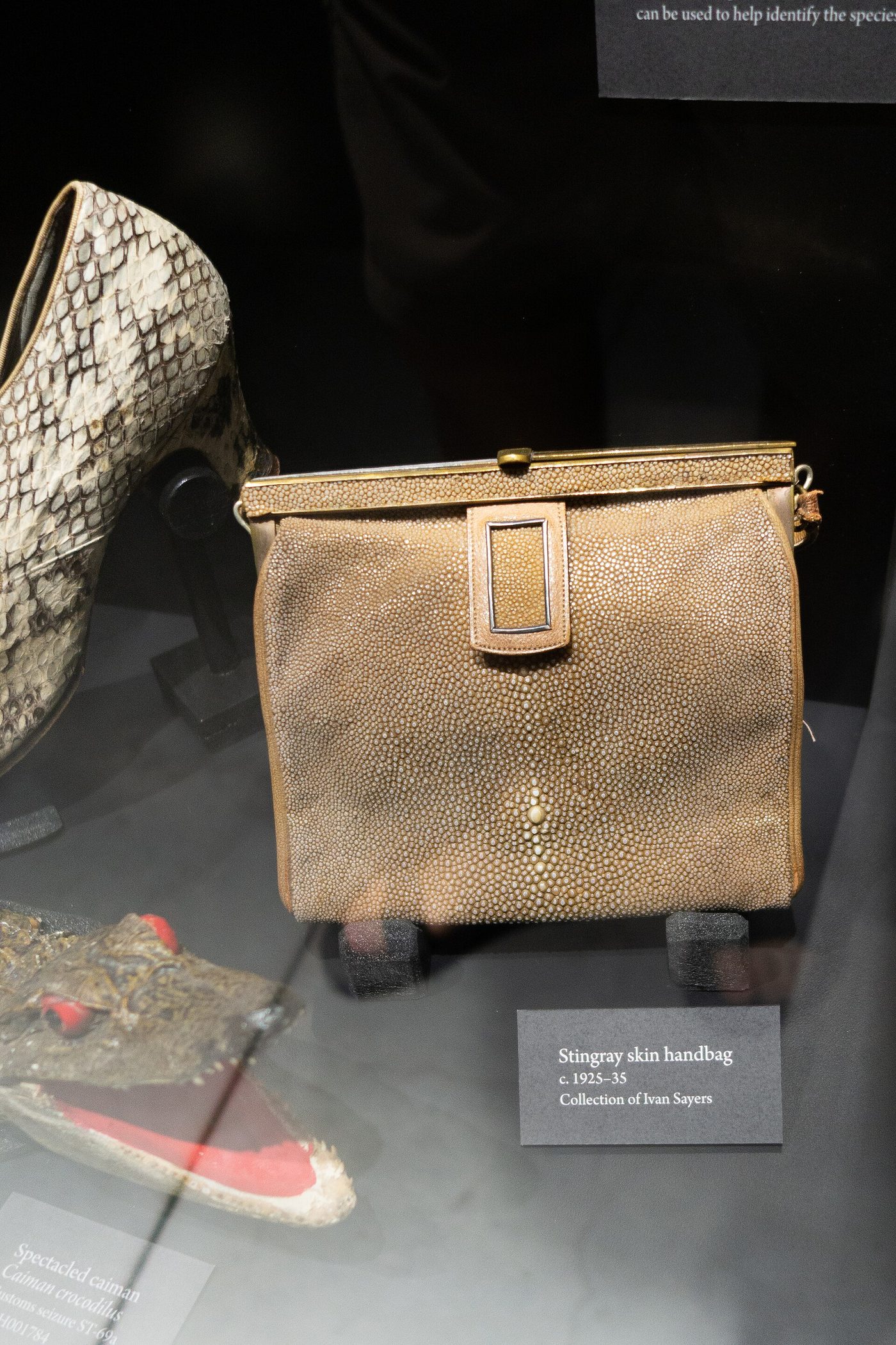 Stingray-skin handbag, c. 1925-35 (museum exhibit)
