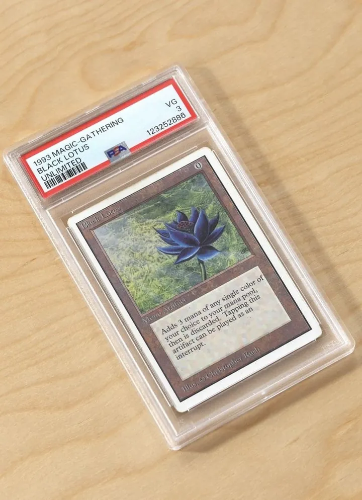 PSA-graded Black Lotus card at LBC Pawn Boston — graded cards bought and sold